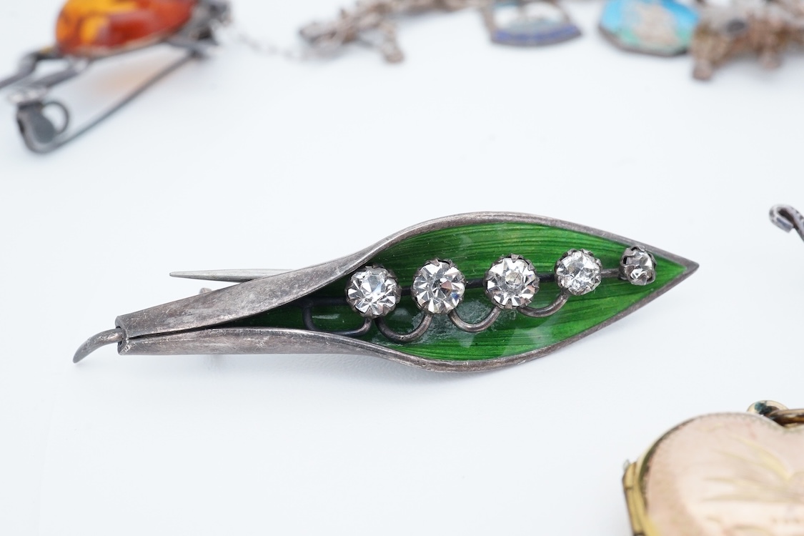 A small group of sterling, white metal and and other jewellery, including a charm bracelet, frog brooch, etc.